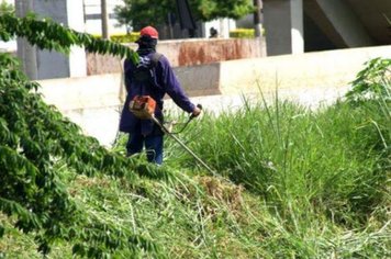 Prefeitura emite nota sobre limpeza de terrenos