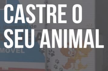 Cuidados com o seu animal de estimação: