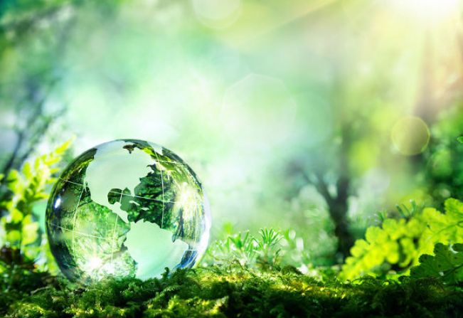 Secretaria Municipal do Meio Ambiente e Agricultura instala placas de orientação ecológica