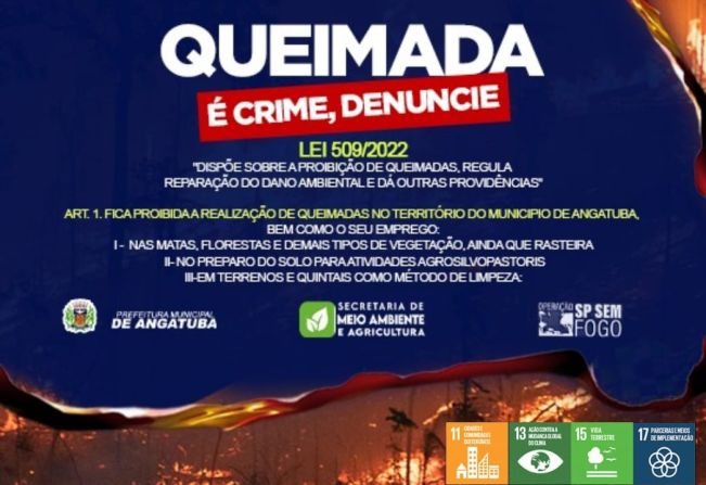 QUEIMADA É CRIME, DENUNCIE!